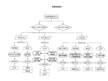 ZT:软组织肿瘤诊断流程图图5
