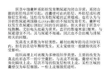 经典病例学习-阴茎中缝囊肿图13